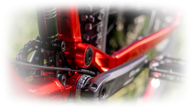 Dartmoor_Rocbird_its your way