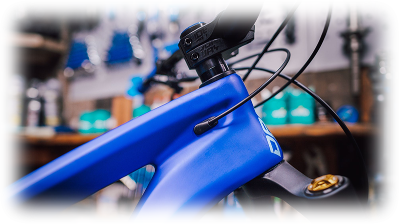 Solid Carbon Front triangle with thick alu chainstay
