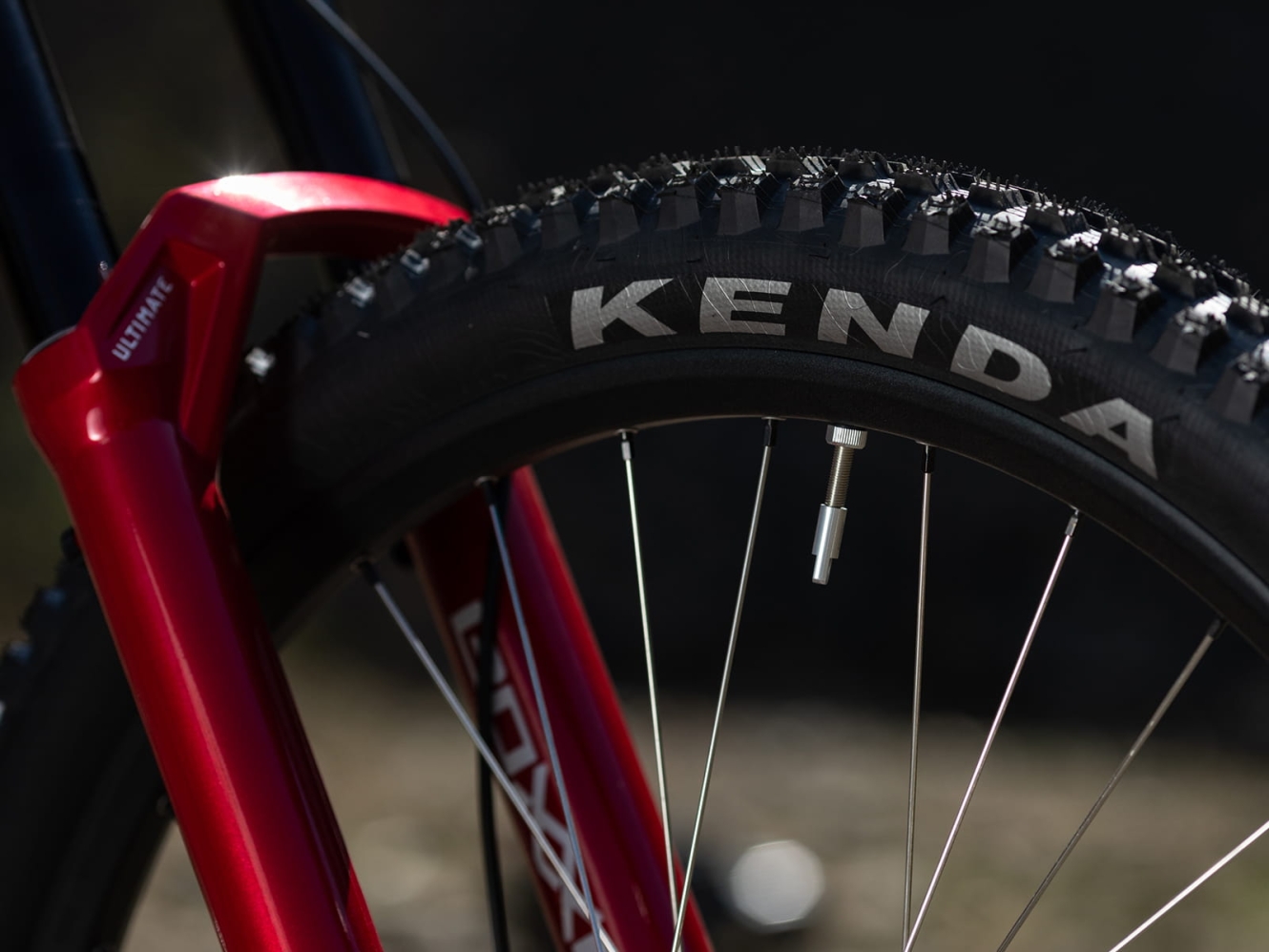 Banan's new Hornet Pro bikecheck