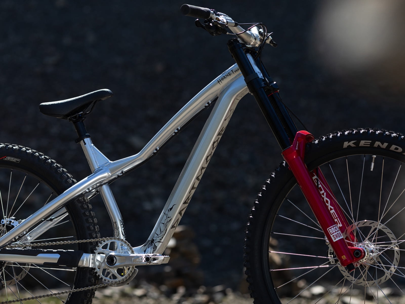 Banan's new Hornet Pro bikecheck