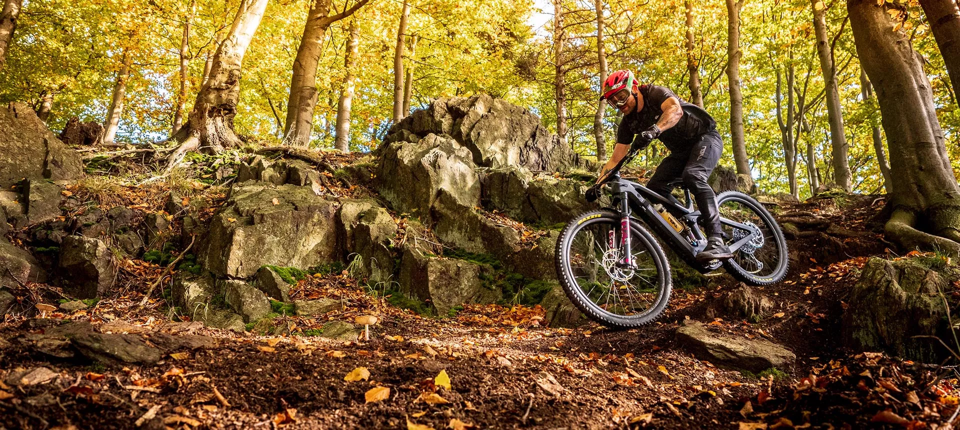 Dartmoor banners enduro