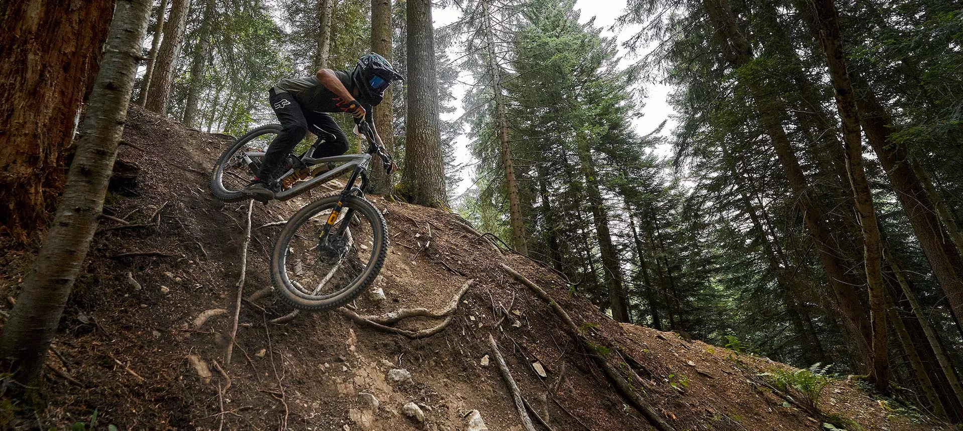 Dartmoor banners freeride