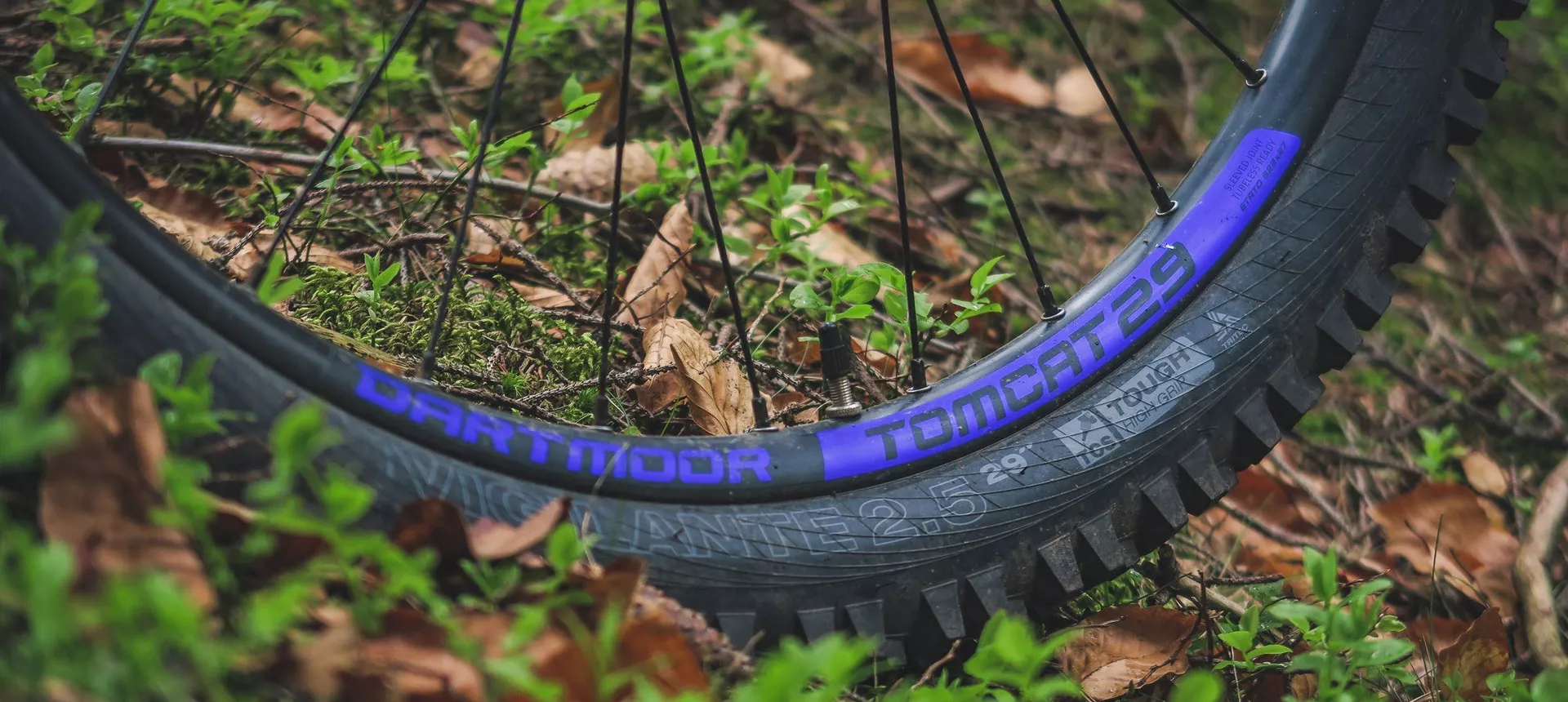 Dartmoor-bikes rims banner