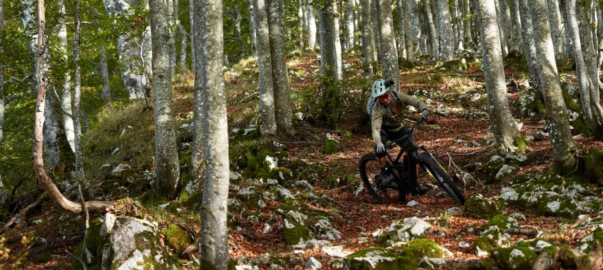 Dartmoor-Bikes banner for Bikes 2023