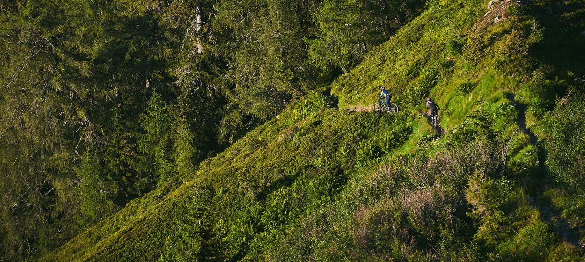 Dartmoor_Trail