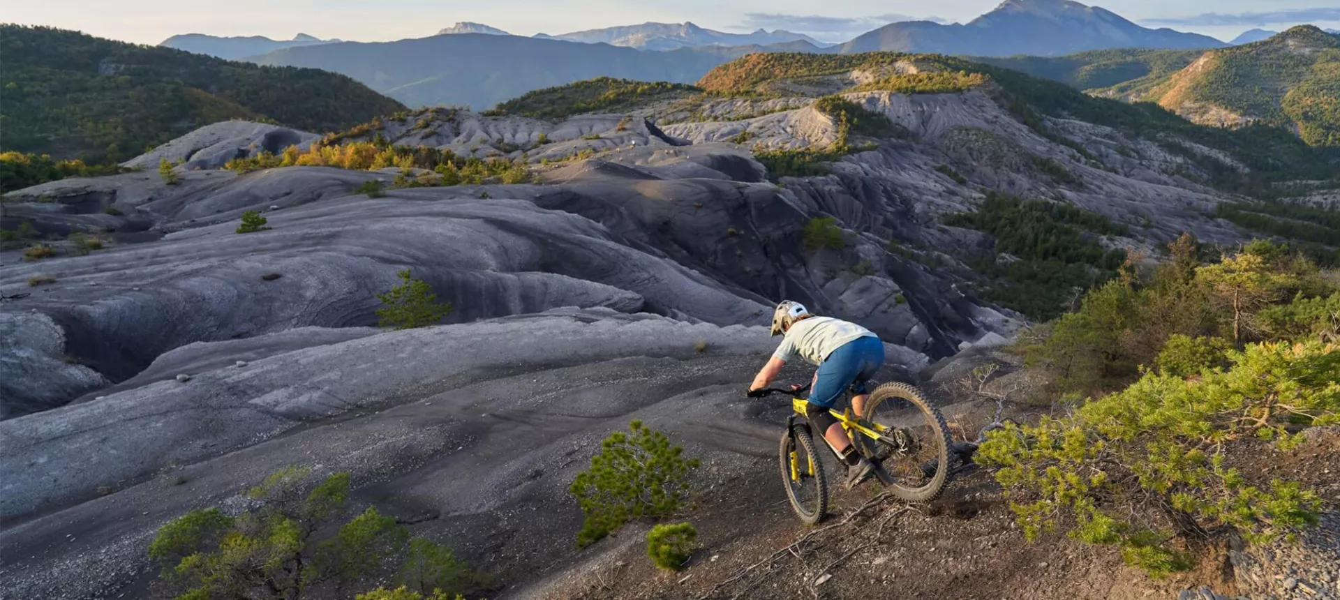 CODY | Dartmoor-bikes