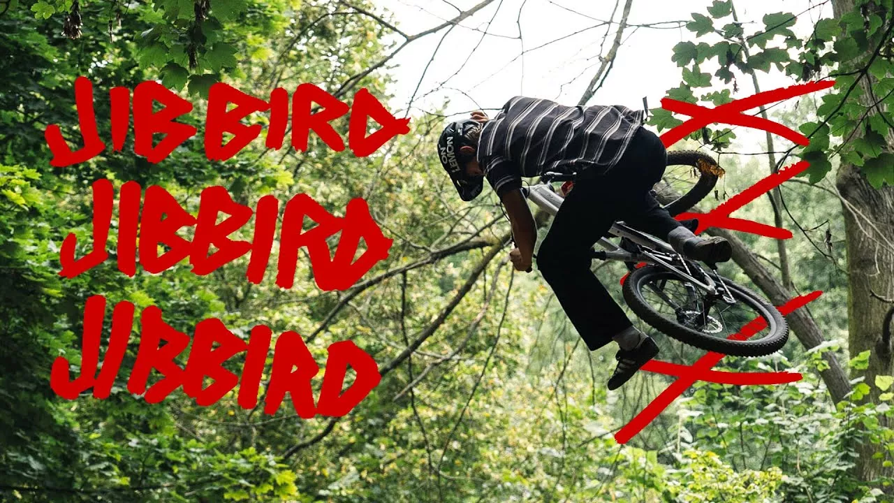 Video Thumbnail